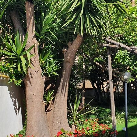 Maria Maddalena Holiday House Vico Equense Exterior foto